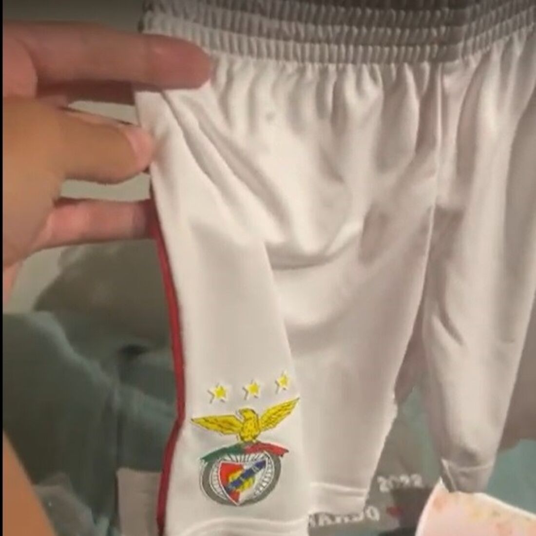 Bruna Gomes, Bernardo Sousa