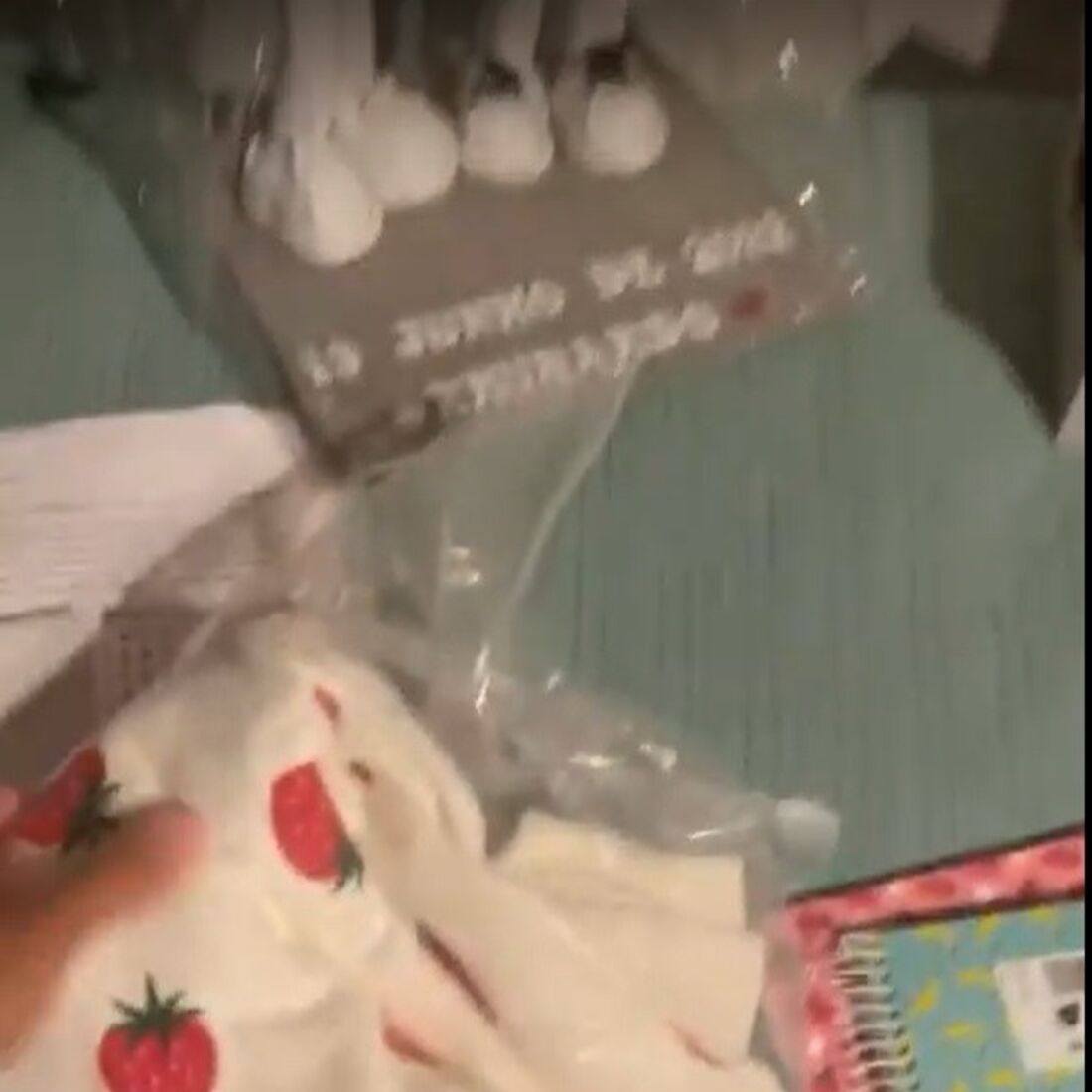 Bruna Gomes, Bernardo Sousa