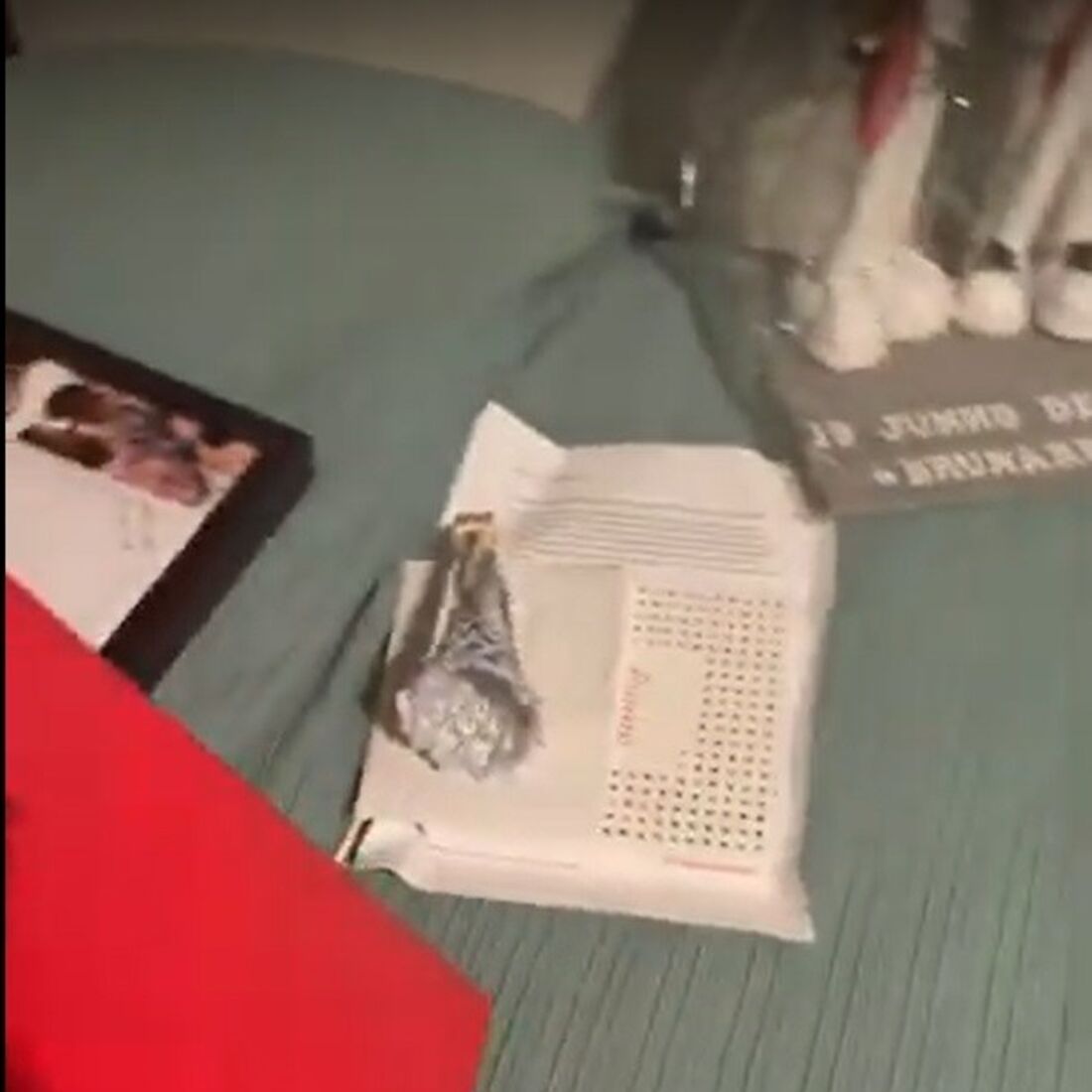 Bruna Gomes, Bernardo Sousa