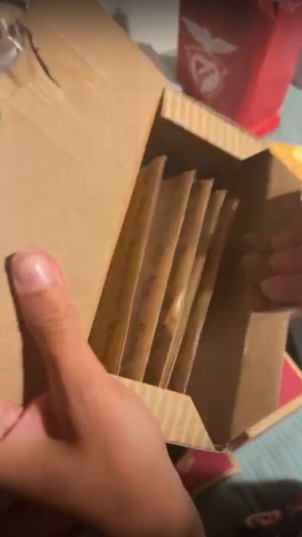 Bruna Gomes, Bernardo Sousa