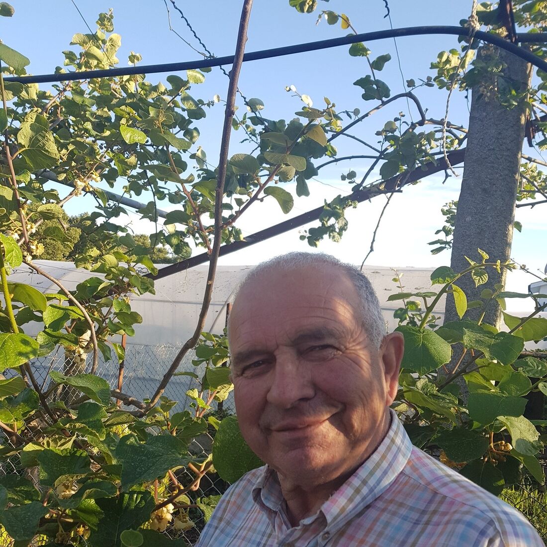 José Coutinho, quem quer namorar com o agricultor?