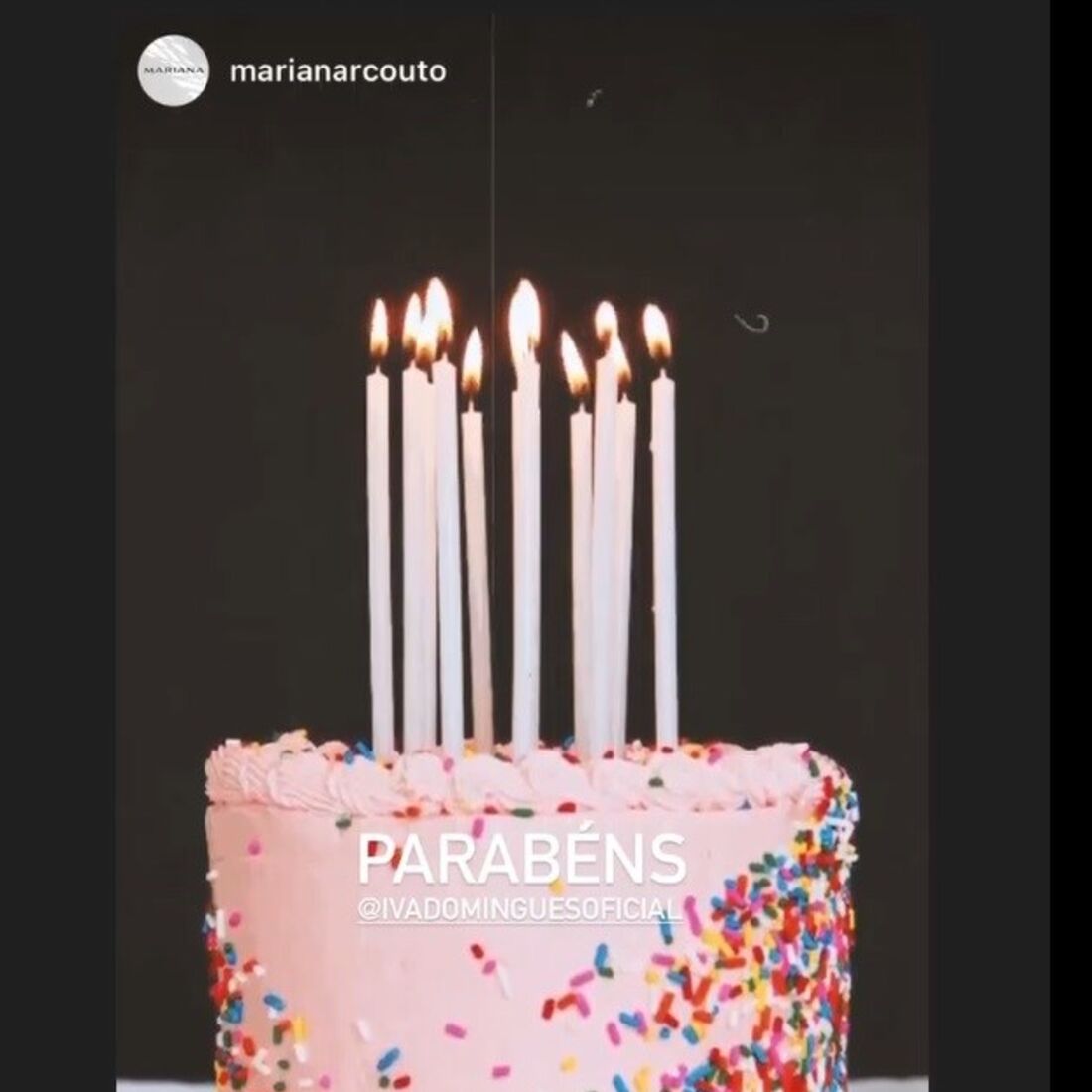 Iva Domingues, Maria João Bastos, Rita Ferro Rodrigues, Marta Gil, Inês Herédia, Gabriela Sobral