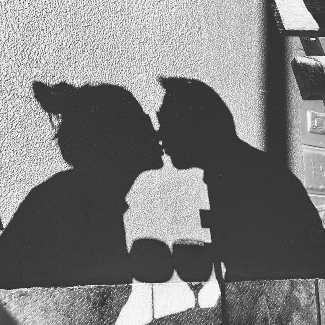 Patrícia Tavares e André Quartin Santos