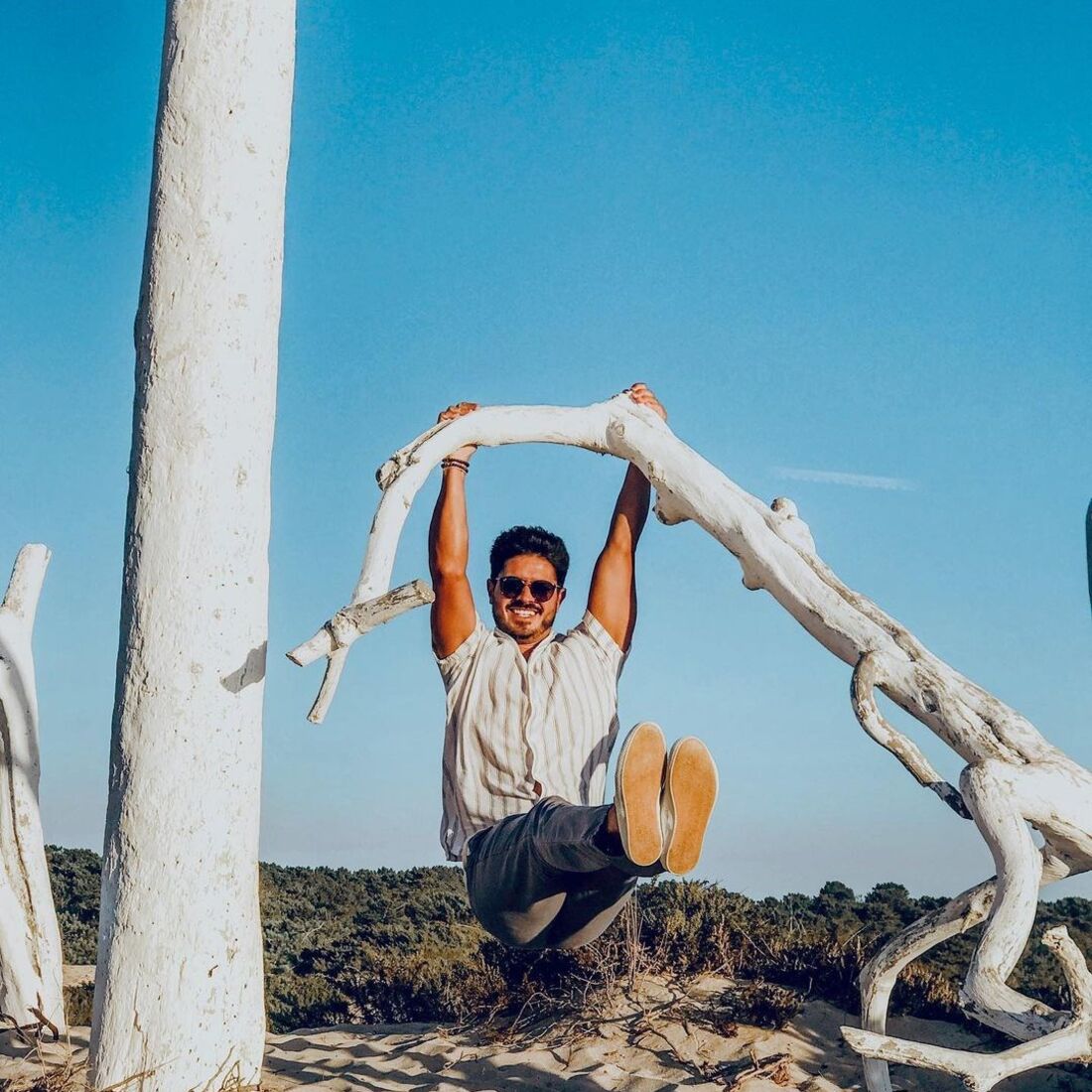 Ljubomir Stanisic, Lucas Fernandes, Rafael Pombeiro