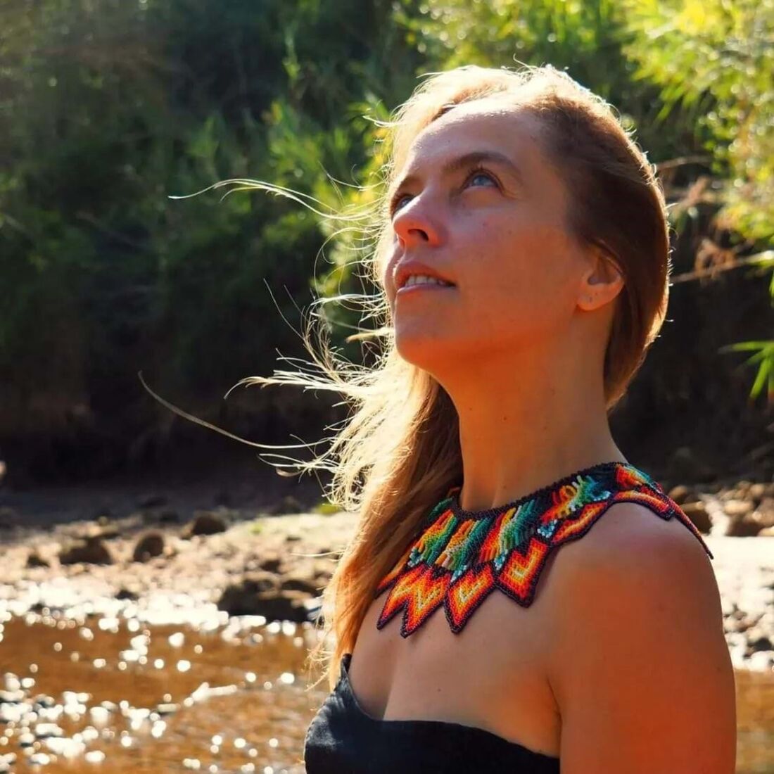 Alícia, Os Traidores, SIC