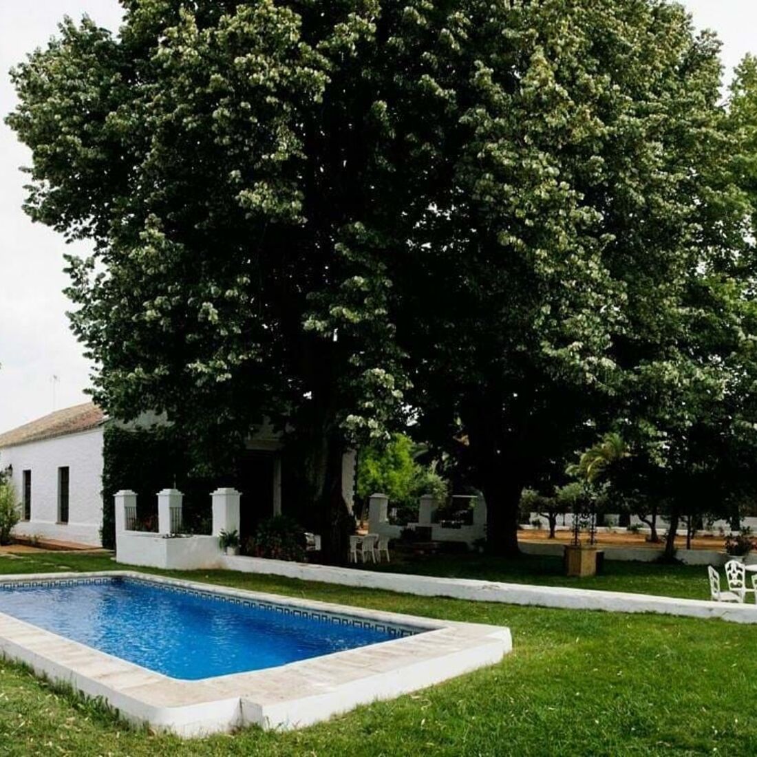 El Recreo de San Cayetano, Maria Cerqueira Gomes, Cayetano Rivera