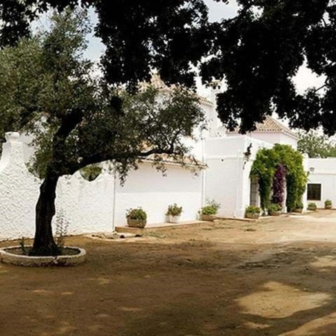 El Recreo de San Cayetano, Maria Cerqueira Gomes, Cayetano Rivera