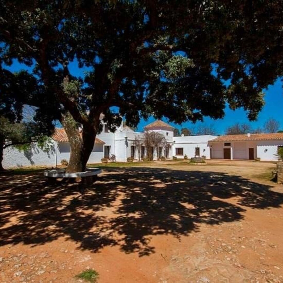 El Recreo de San Cayetano, Maria Cerqueira Gomes, Cayetano Rivera