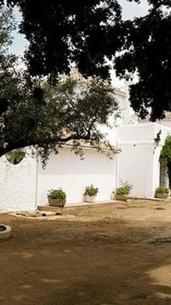 El Recreo de San Cayetano, Maria Cerqueira Gomes, Cayetano Rivera