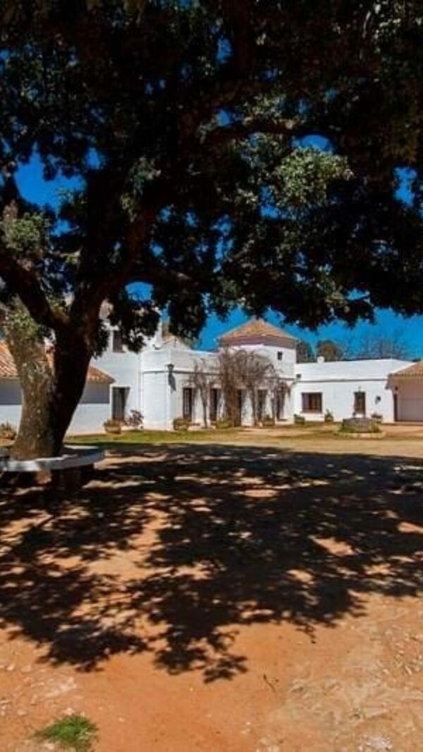 El Recreo de San Cayetano, Maria Cerqueira Gomes, Cayetano Rivera