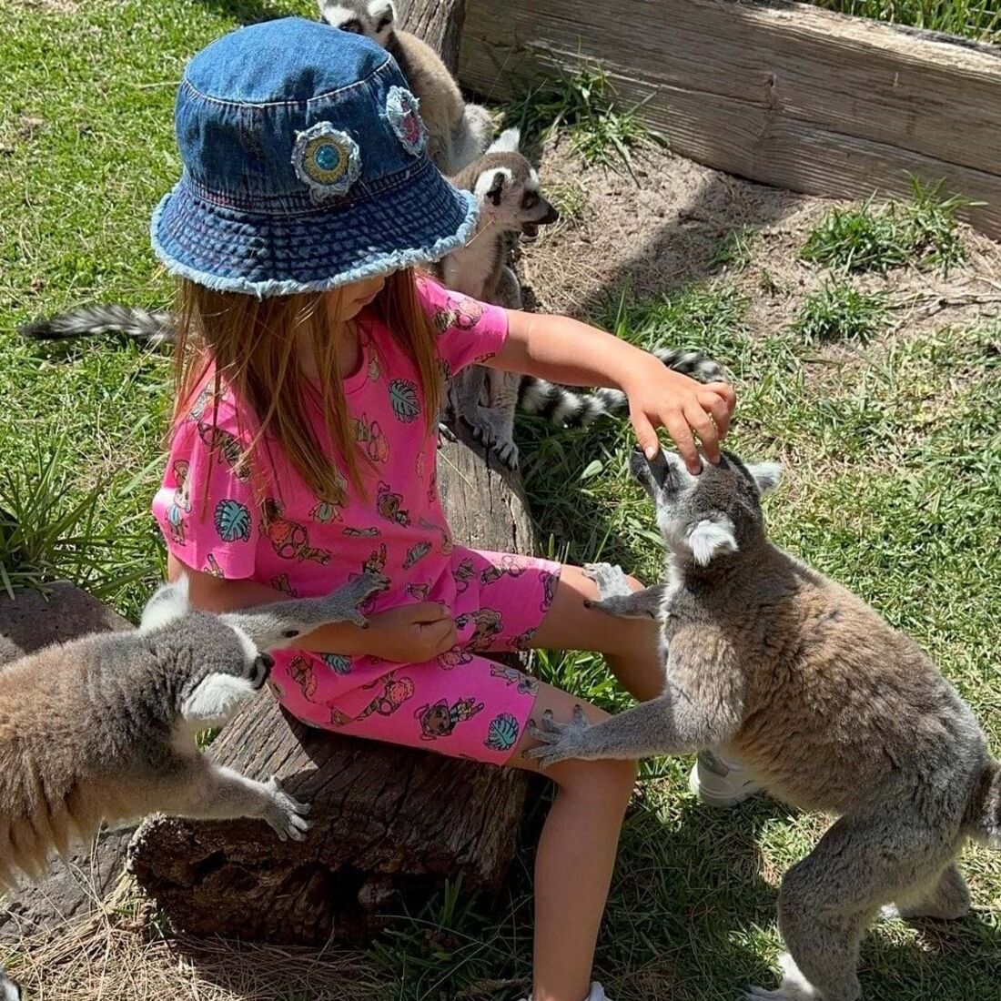 José Raposo, Sara Barradas