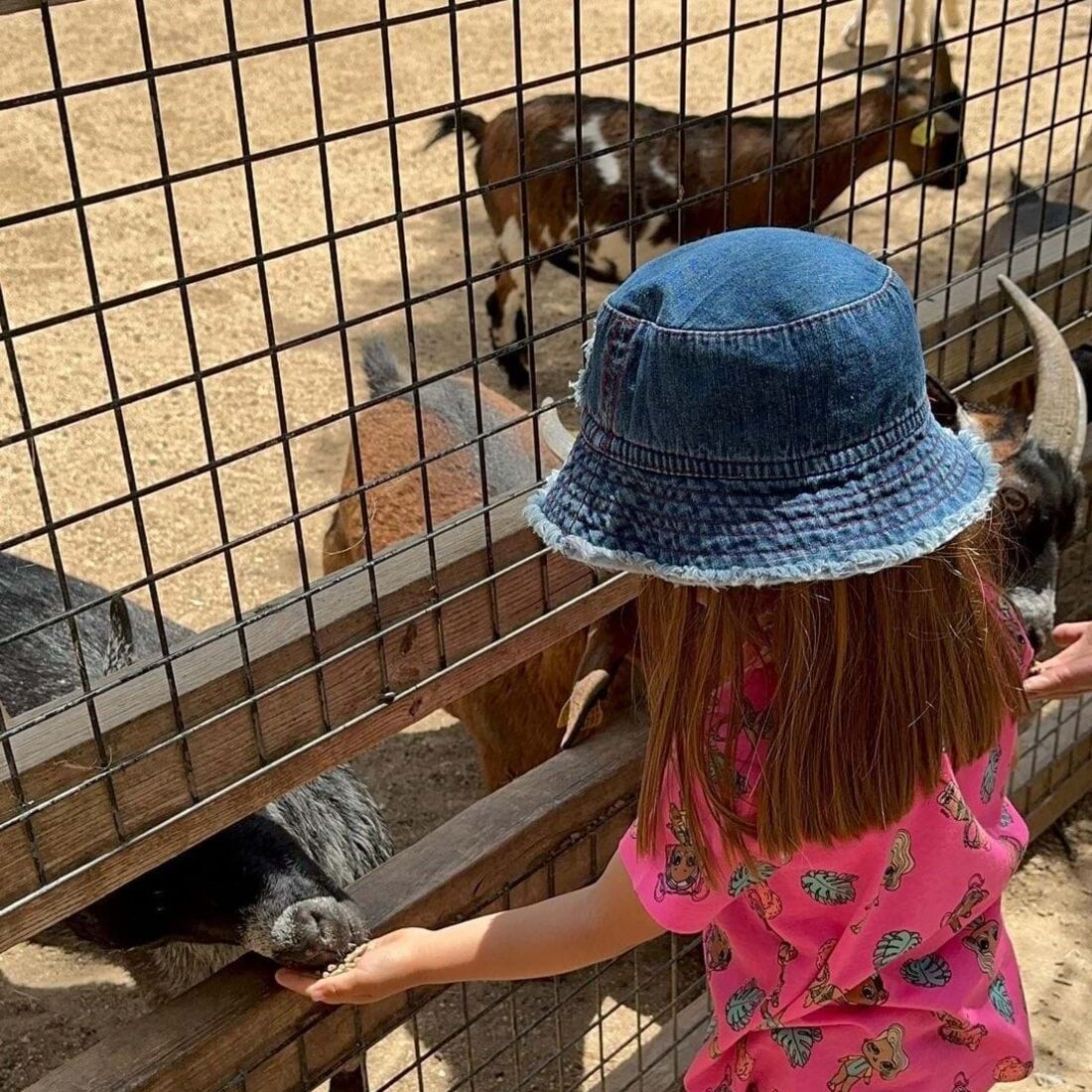 José Raposo, Sara Barradas