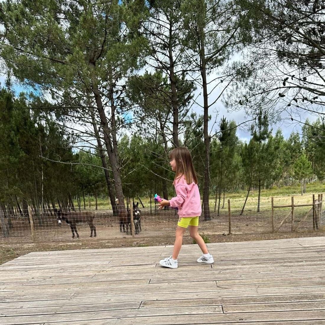 José Raposo, Sara Barradas