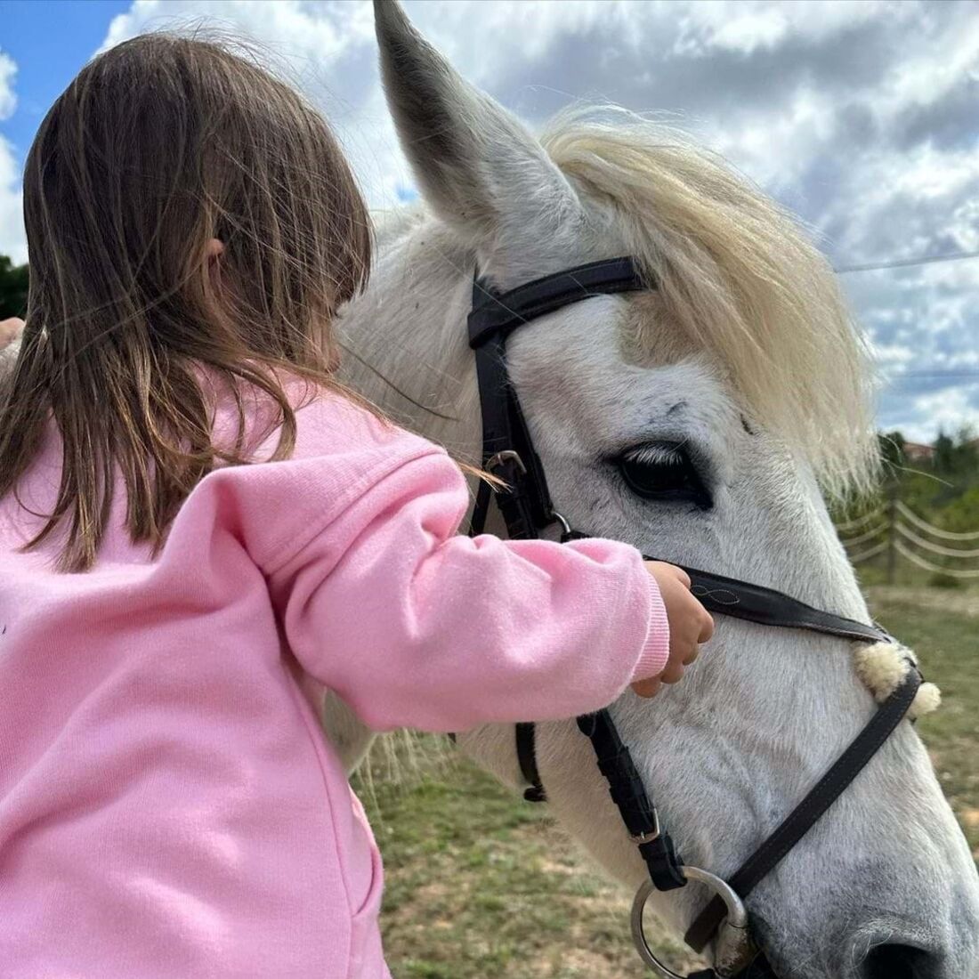 José Raposo, Sara Barradas