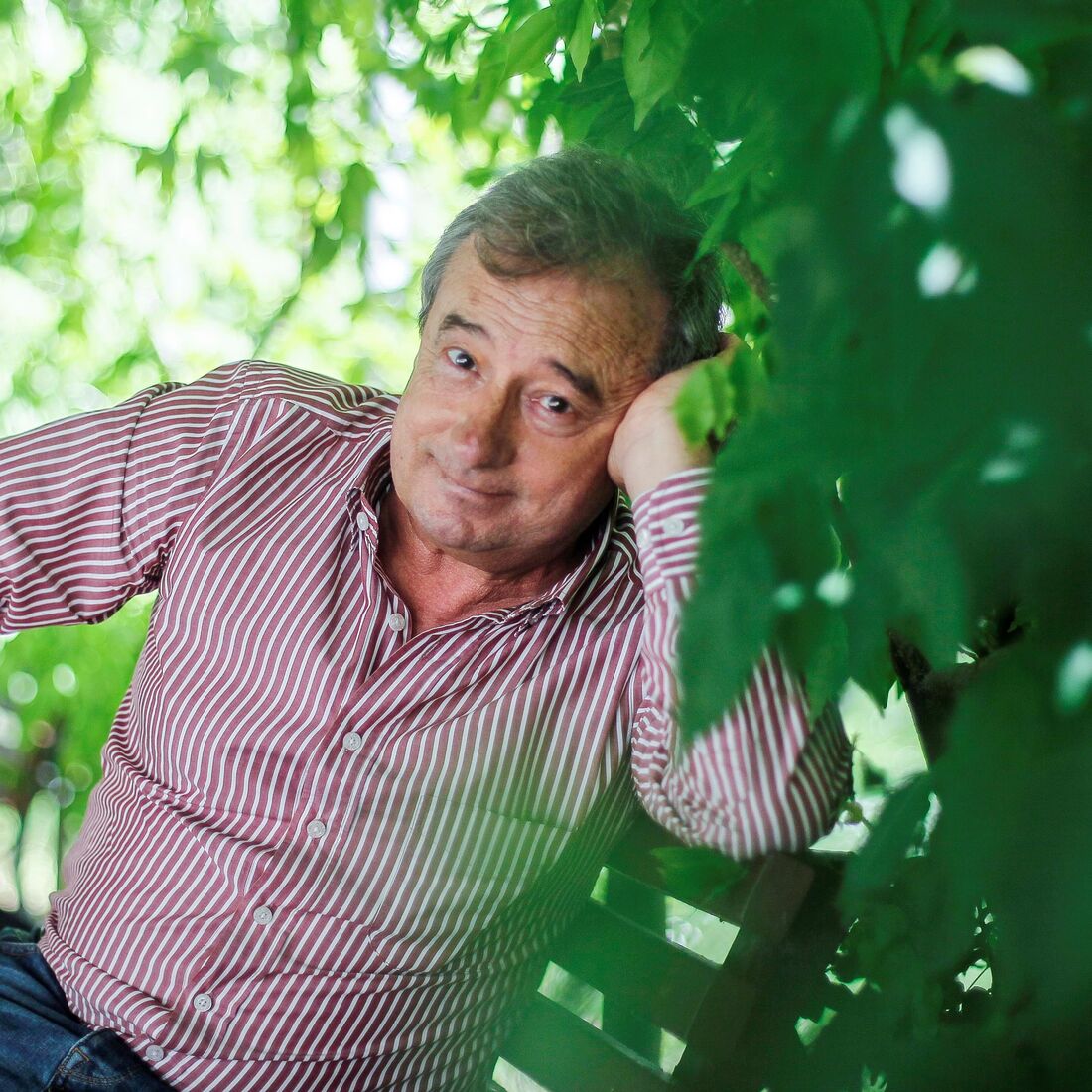 Luís Aleluia