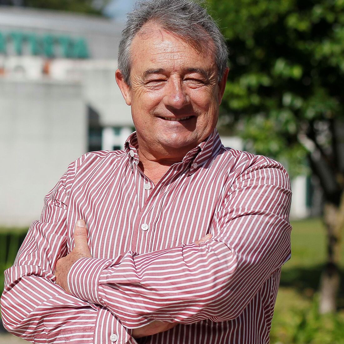 Luís Aleluia