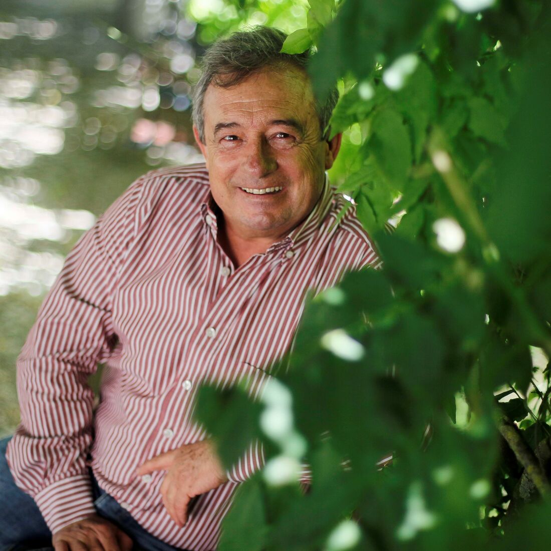 Luís Aleluia