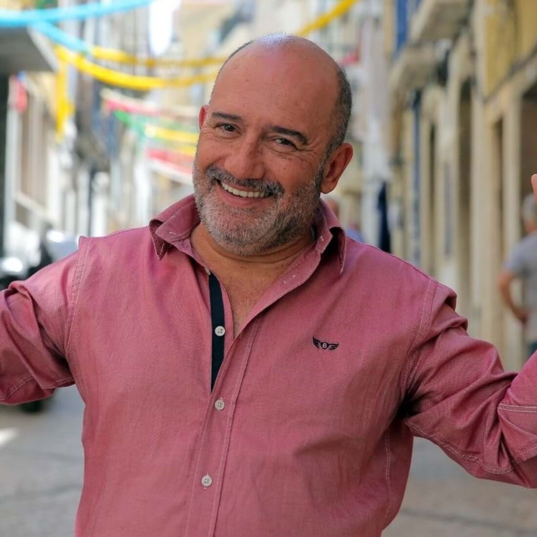 José Raposo, Ator