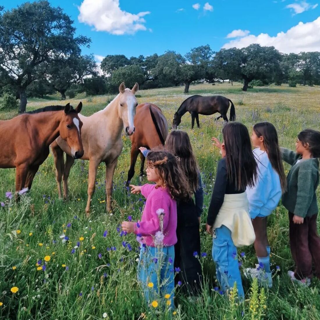 Carolina Patrocínio