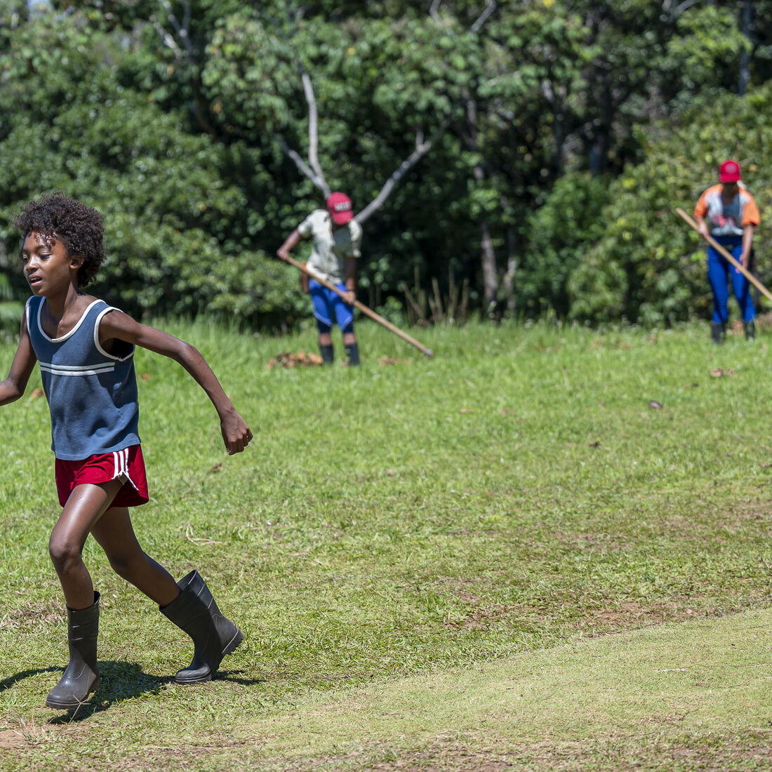 Cacau: Fazenda