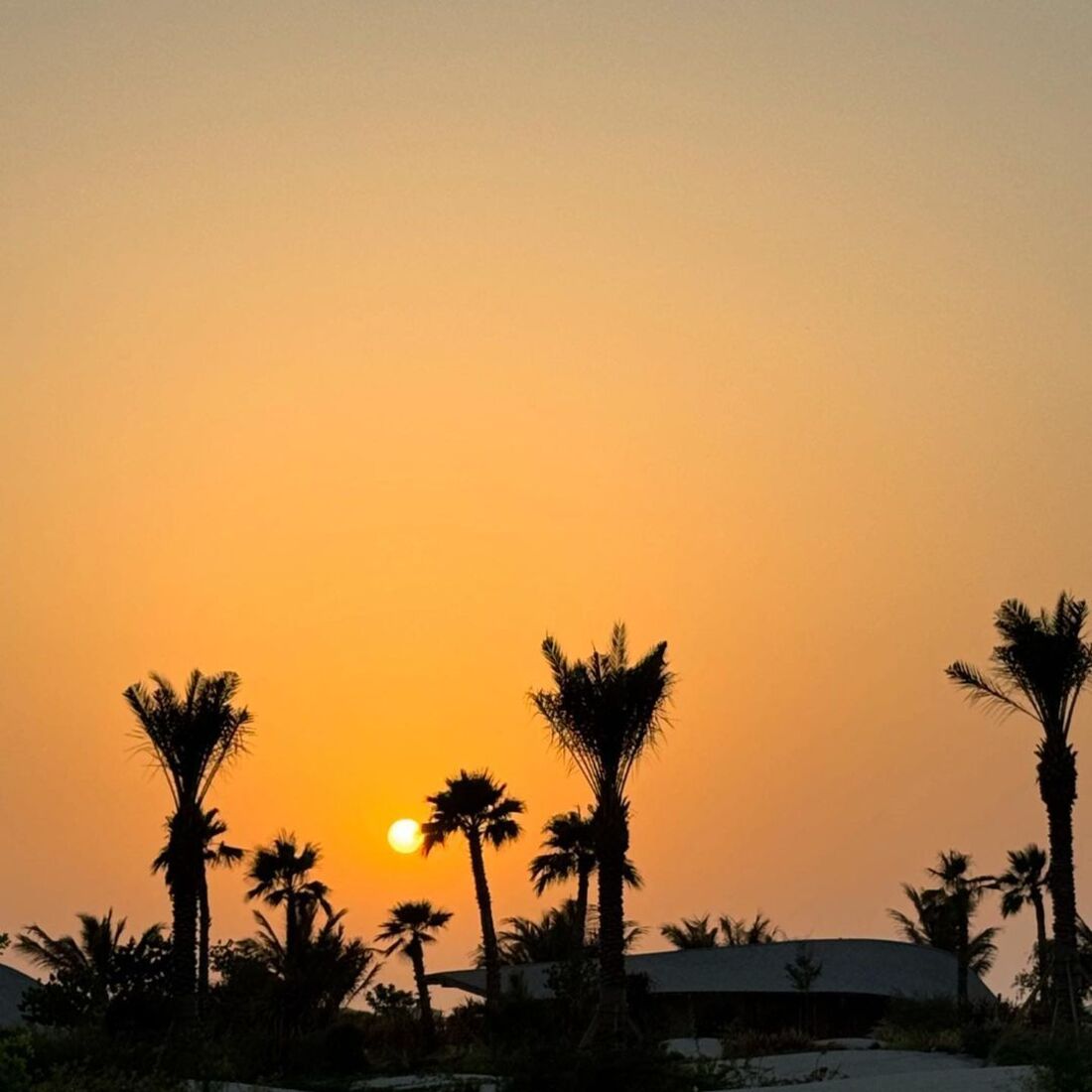 Cristiano Ronaldo e Georgina Rodríguez