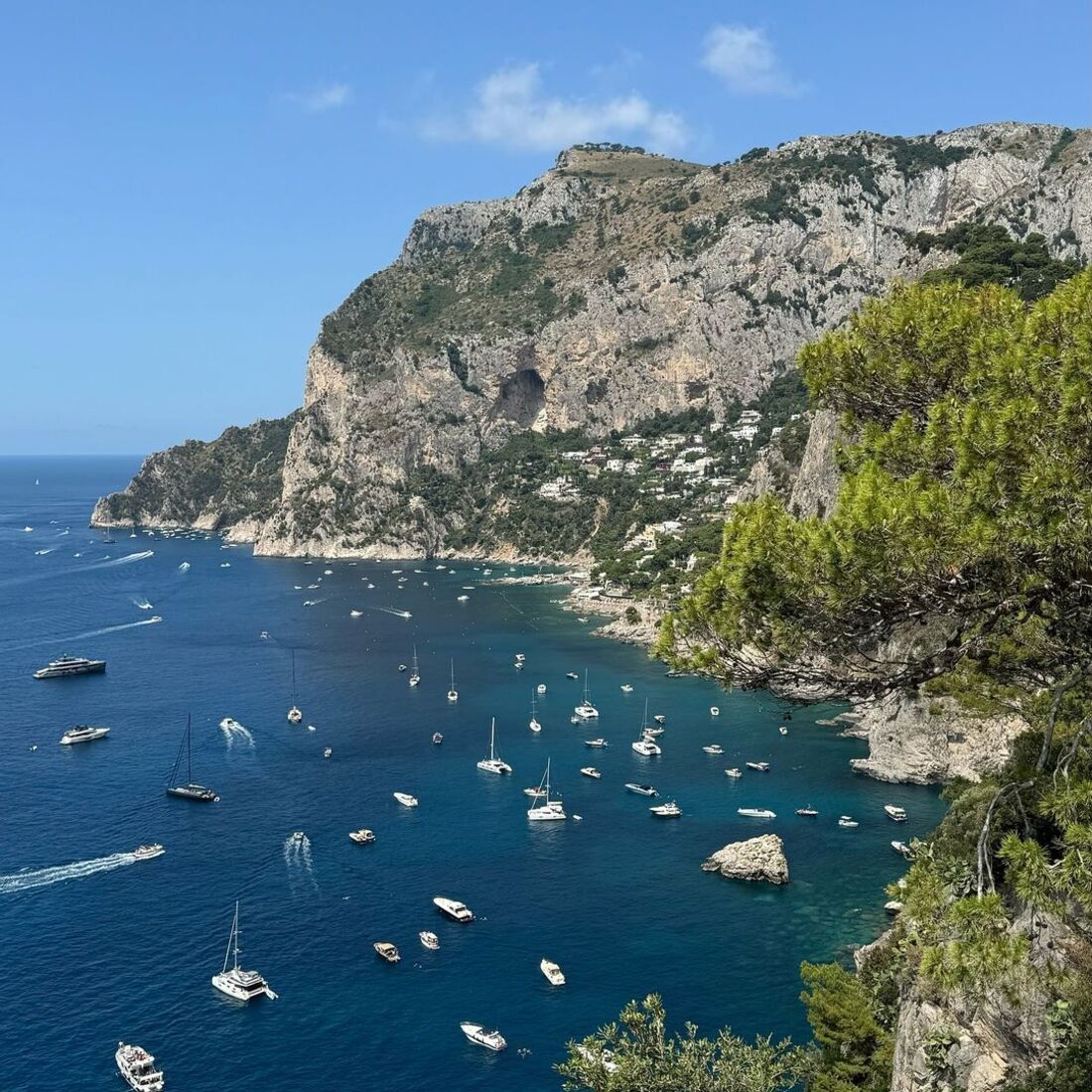 Itália, Liliana Filipa