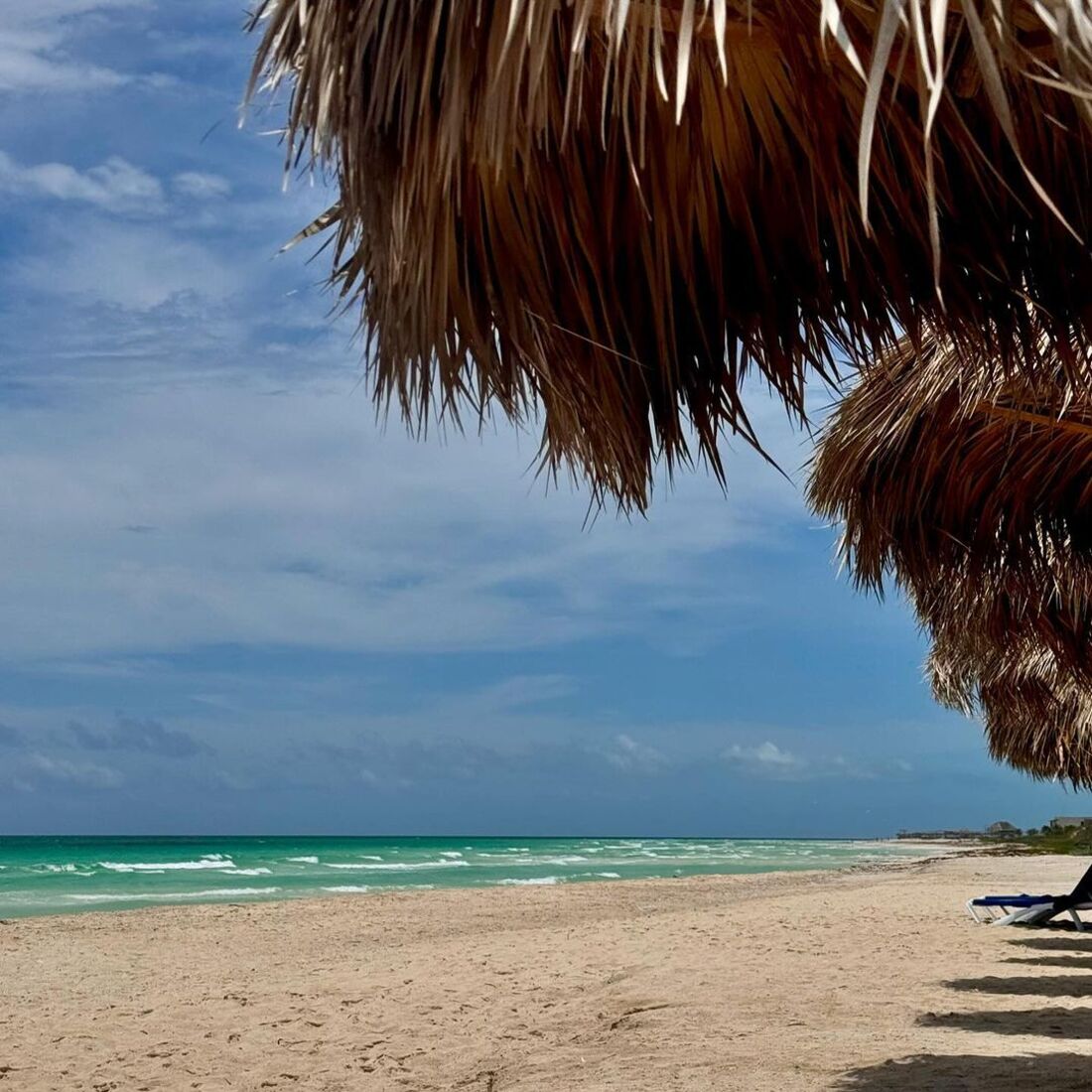 Cuba; Oceana Basílio