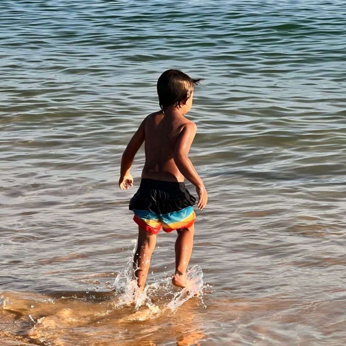  filho Pedro, Tânia Ribas de Oliveira 
