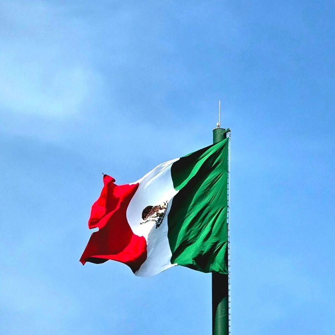 paisagem, Joana Duarte