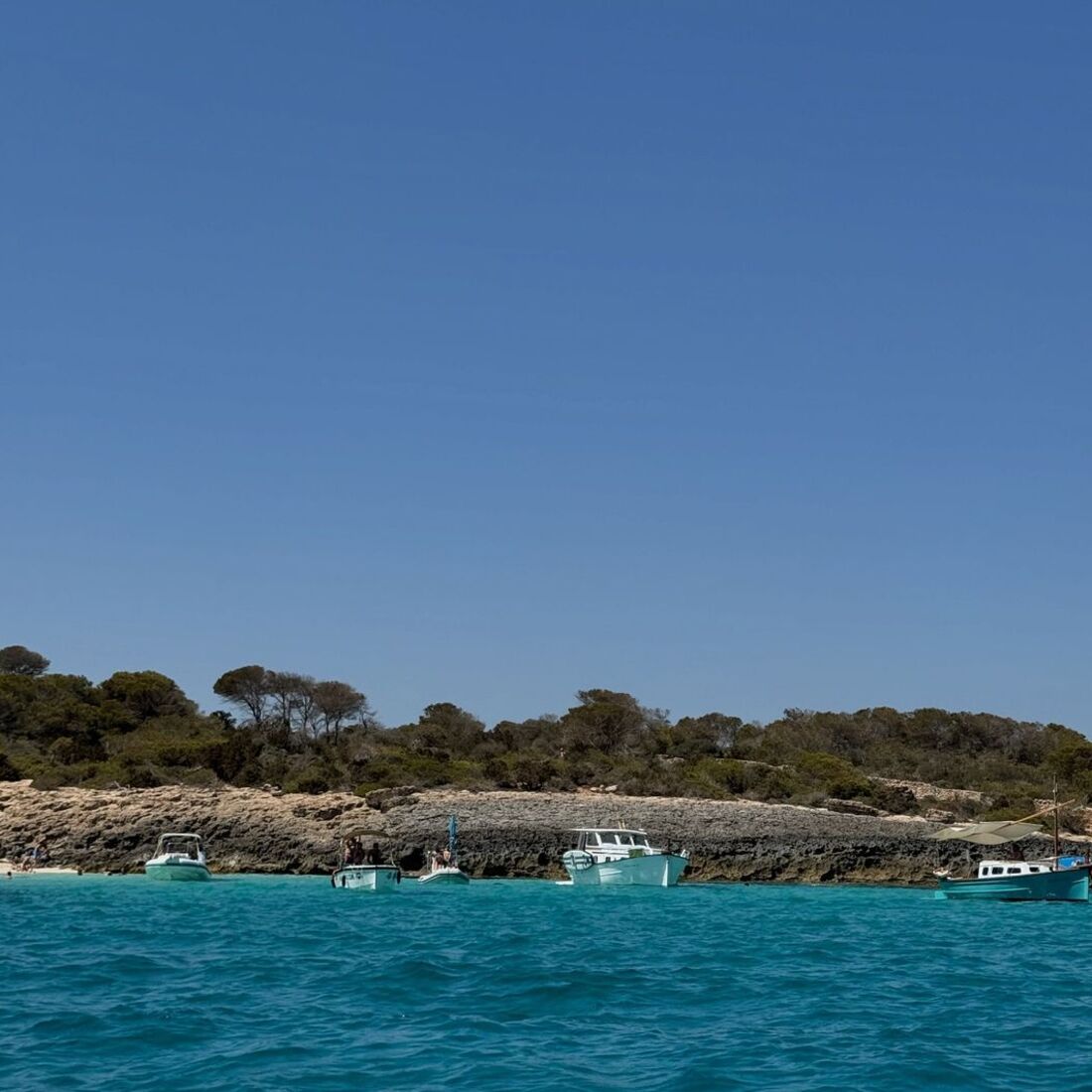 paisagem, Fanny Rodrigues