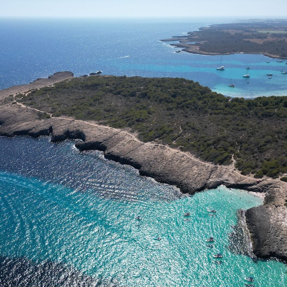 paisagem, Fanny Rodrigues