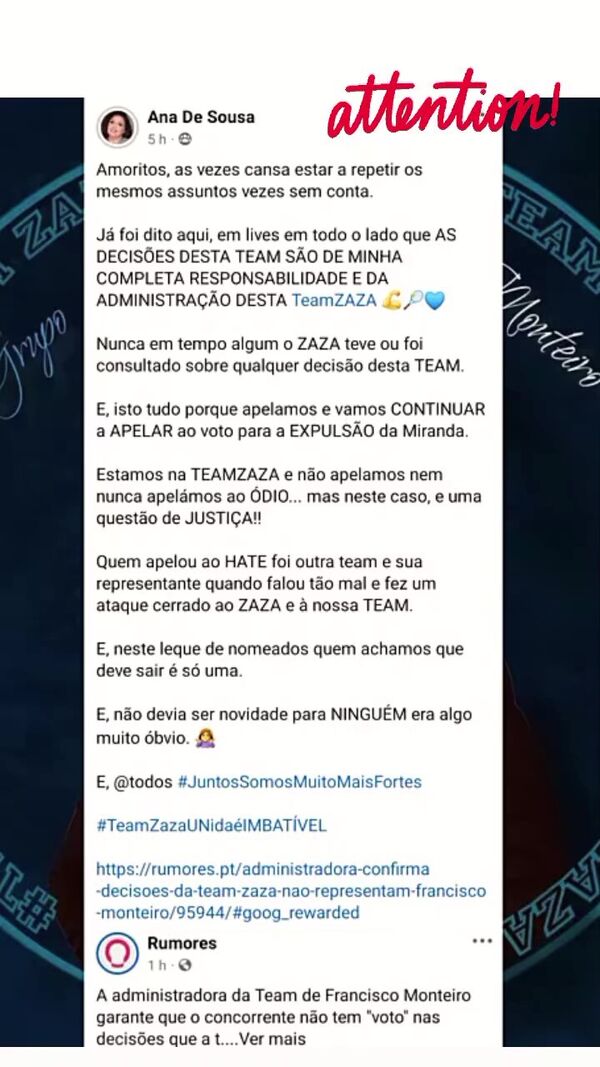 Ana de Sousa, Francisco Monteiro, story