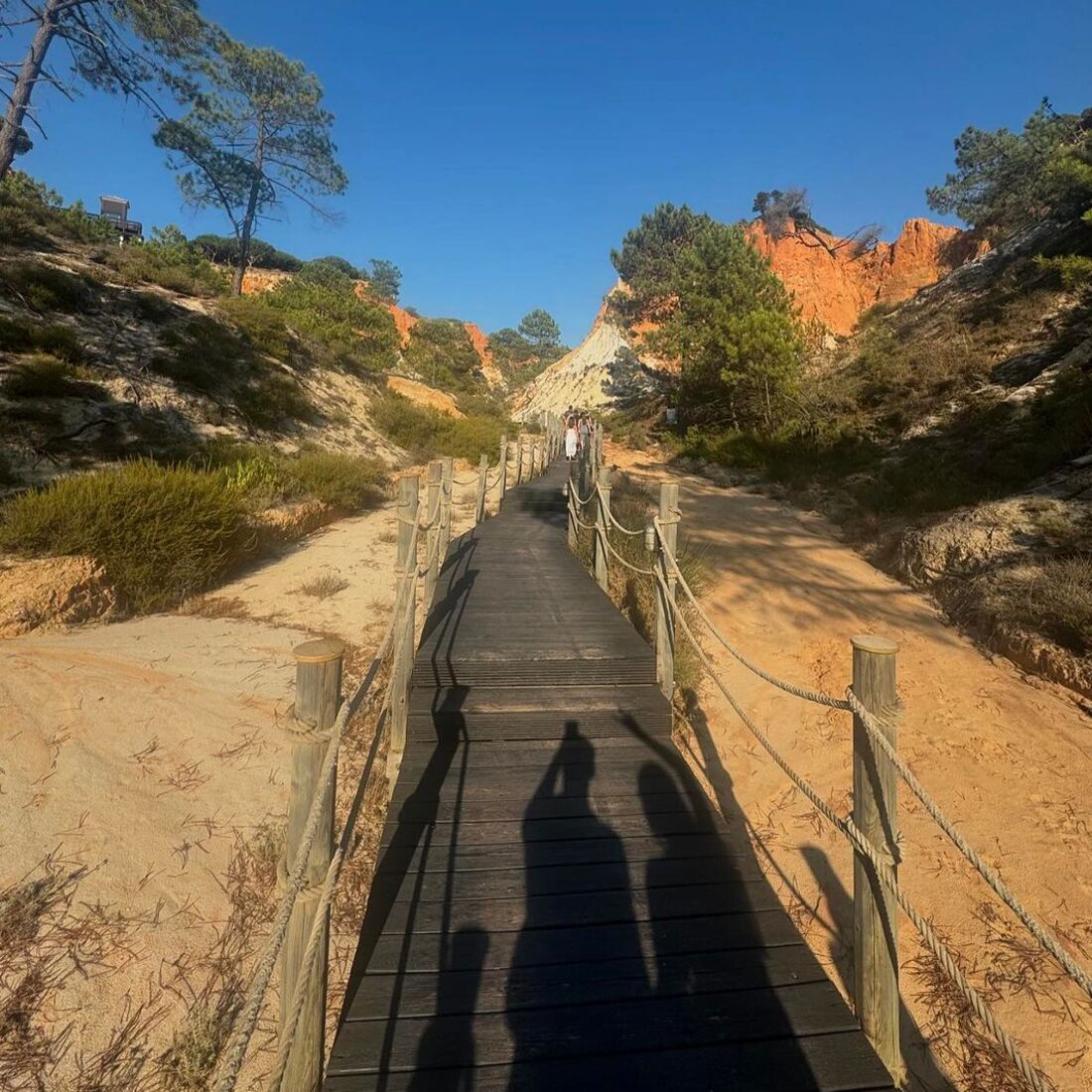 Publicação, José Condessa