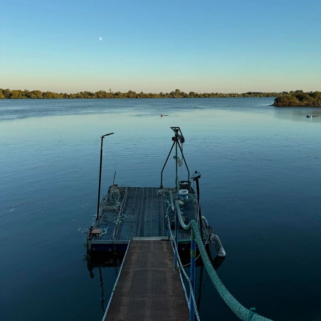 publicação, José Condessa