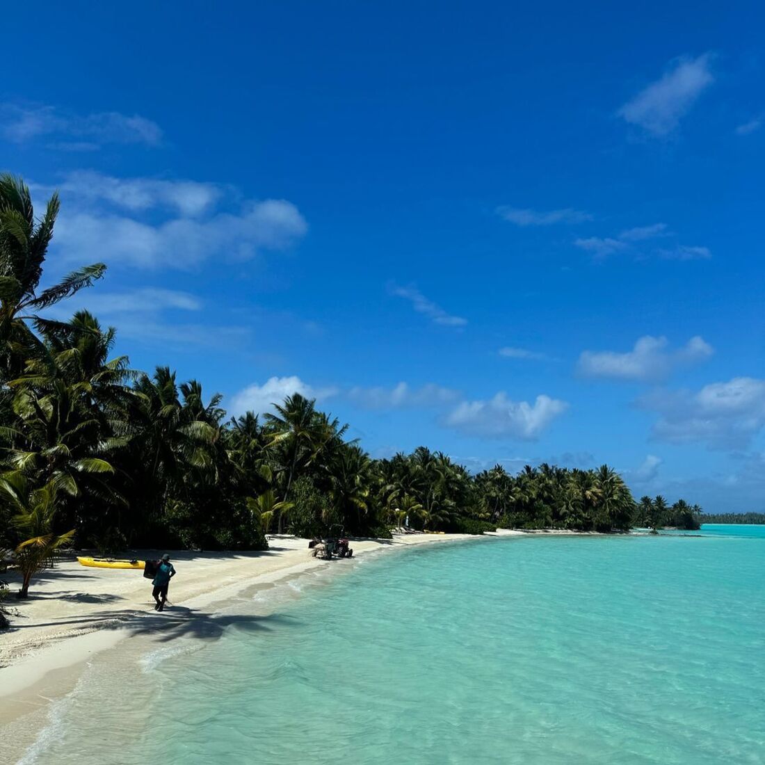 Isabel Figueira, publicação