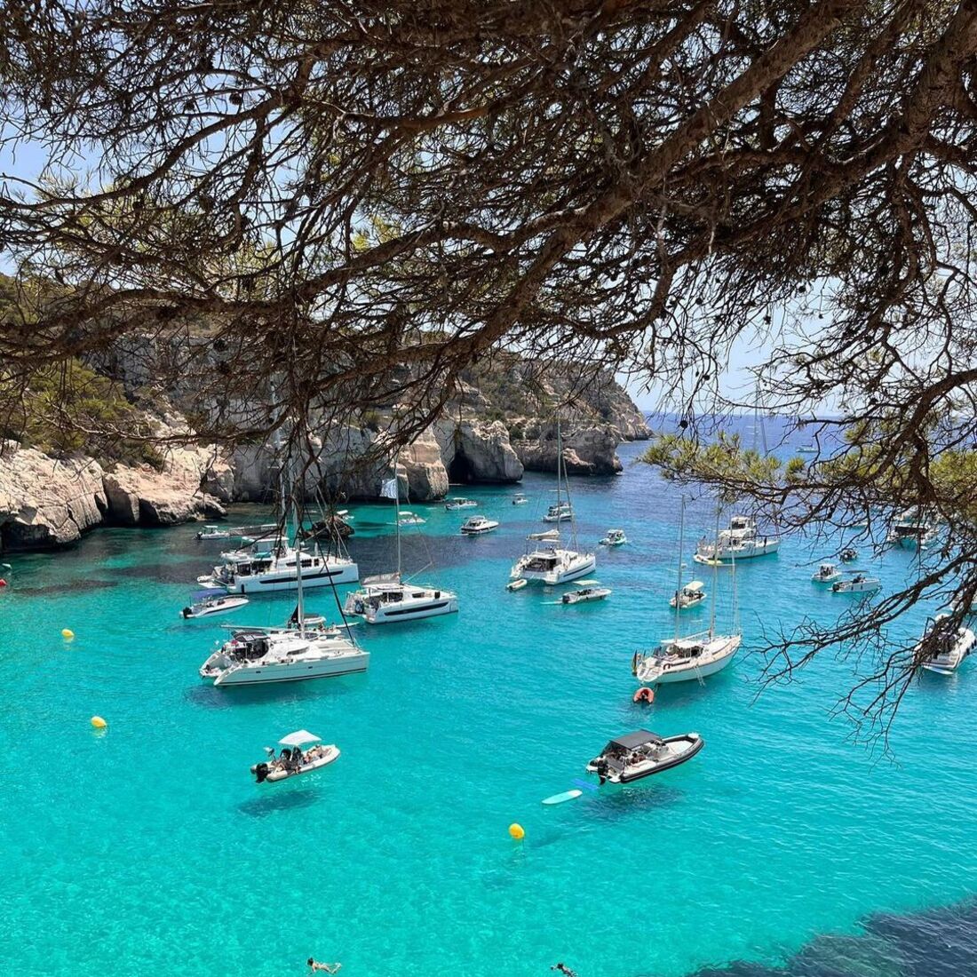 Mariana Saborosa, publicação