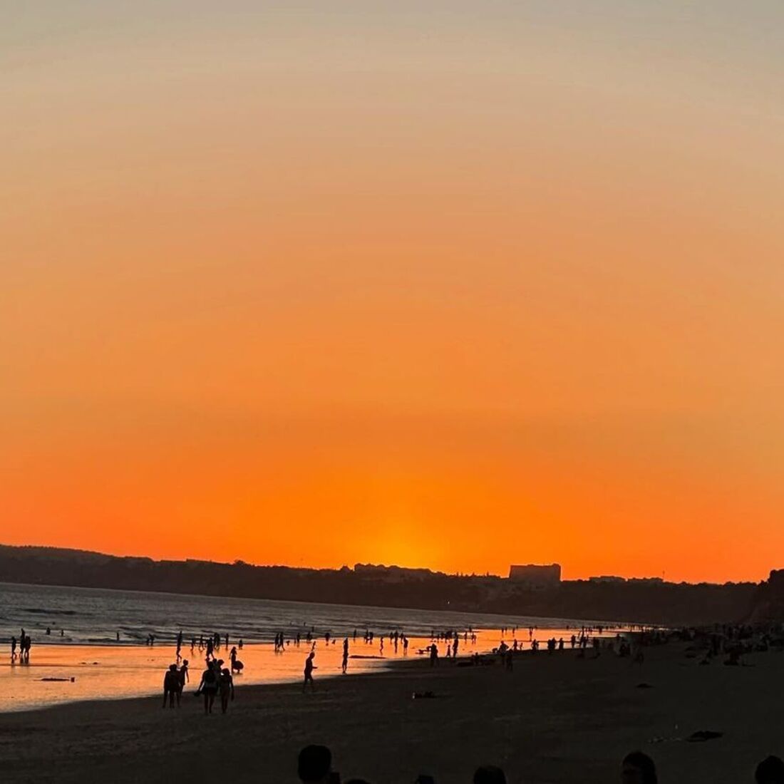 Iva Lamarão, publicação