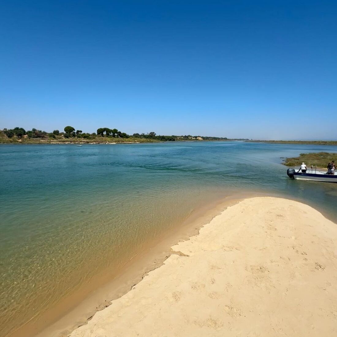 Oceana Basílio, publicação