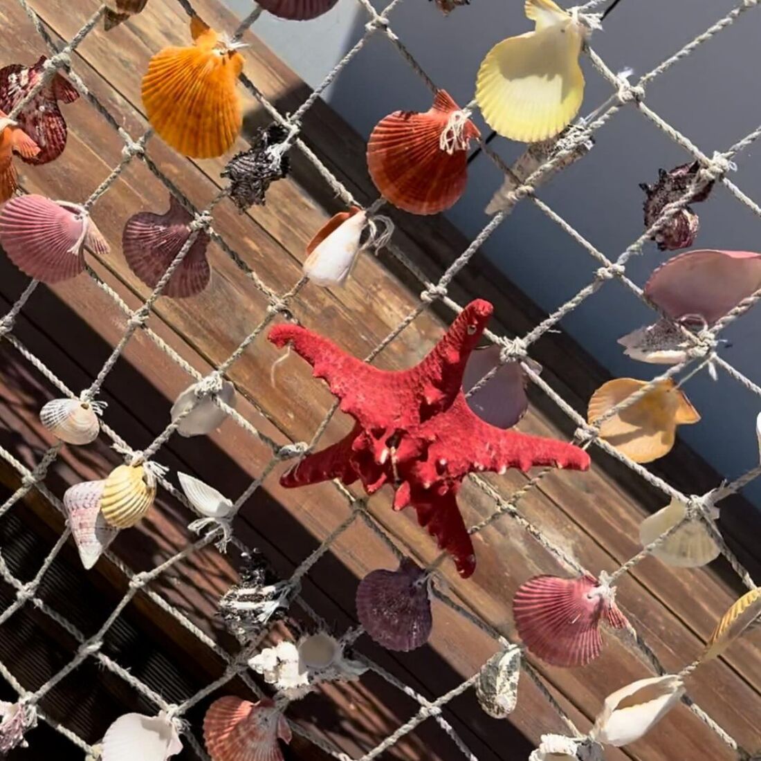 Oceana Basílio, publicação