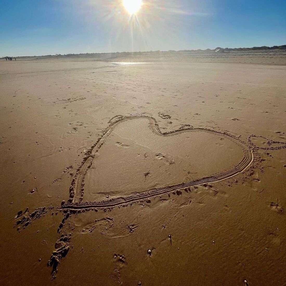 Oceana Basílio, publicação