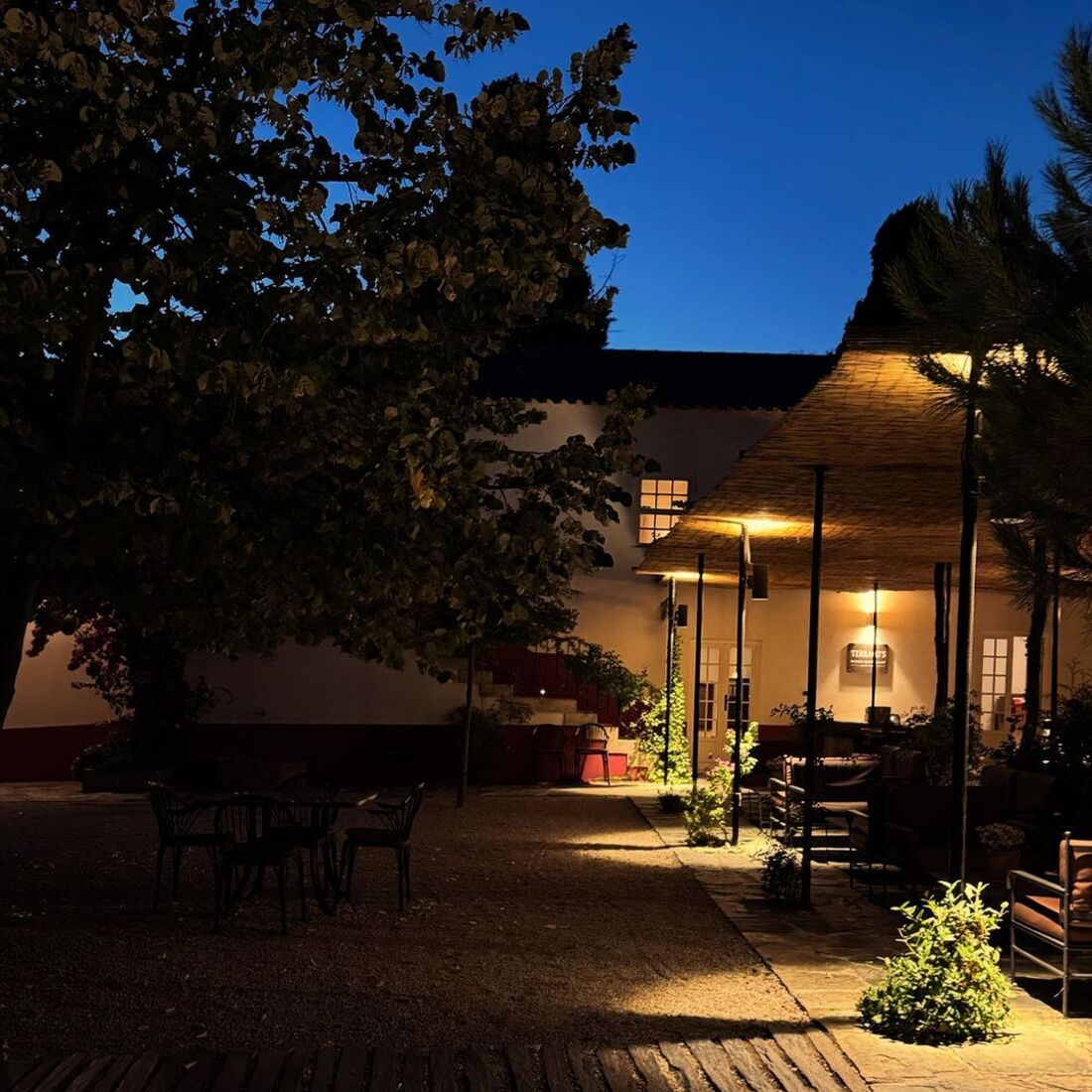 Ana Sofia Cardoso, publicação