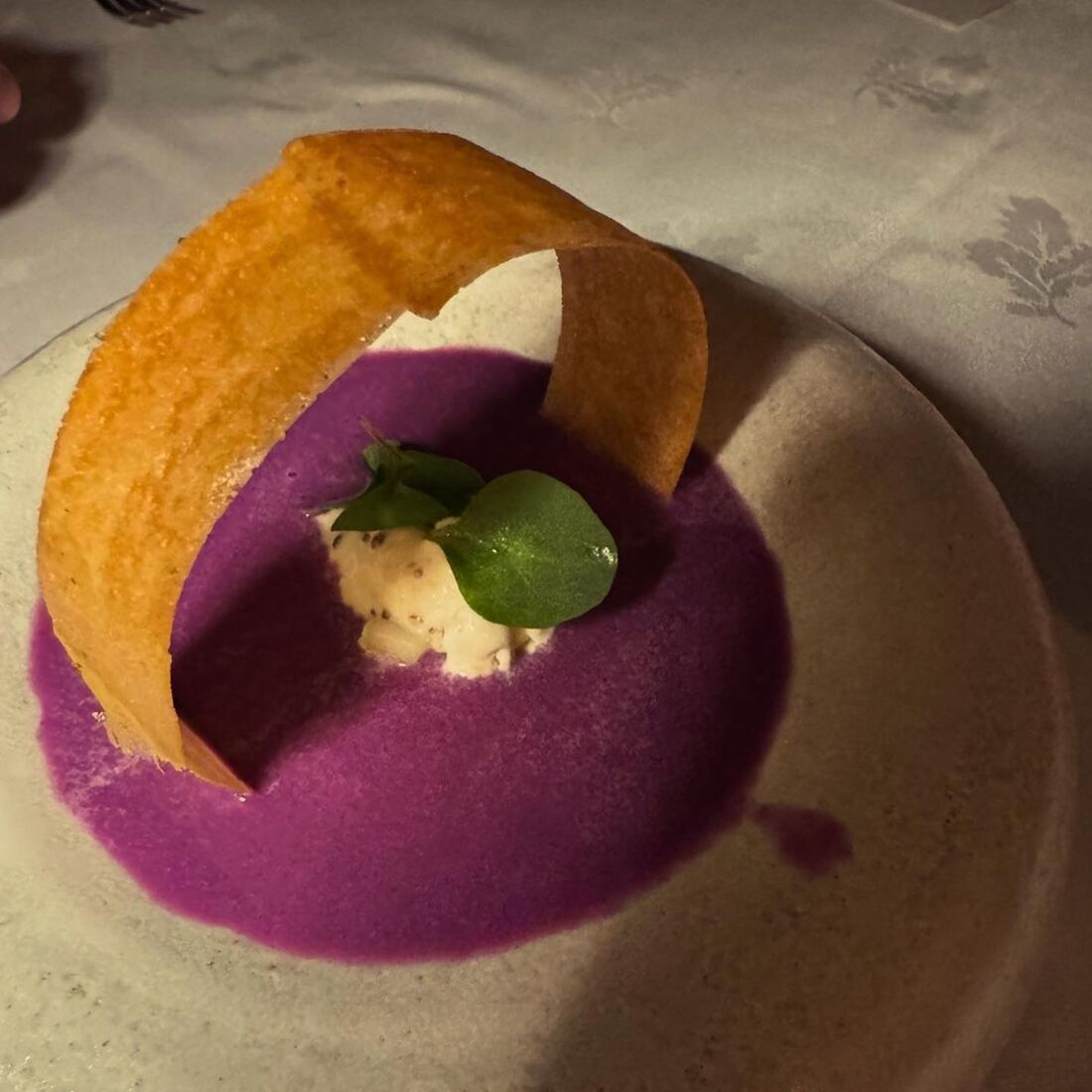 Ana Sofia Cardoso, publicação