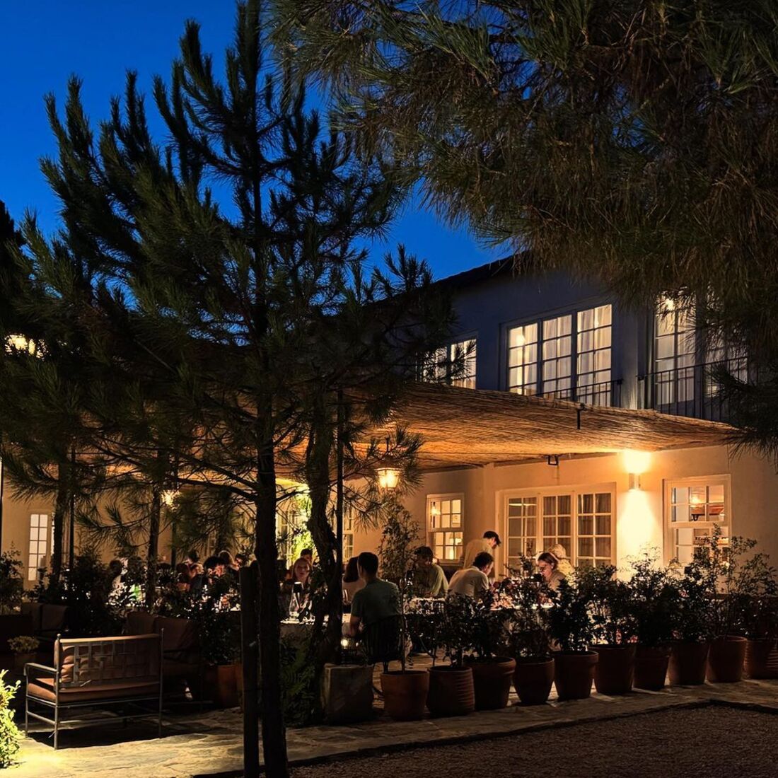 Ana Sofia Cardoso, publicação