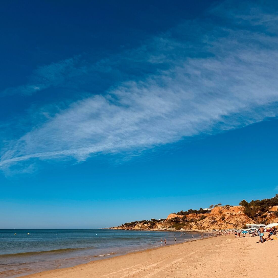 Férias, Lourenço Ortigão, Kelly Bailey