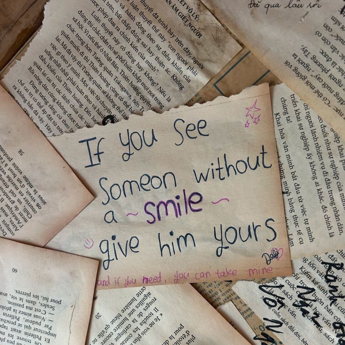 João Mota, Vietname