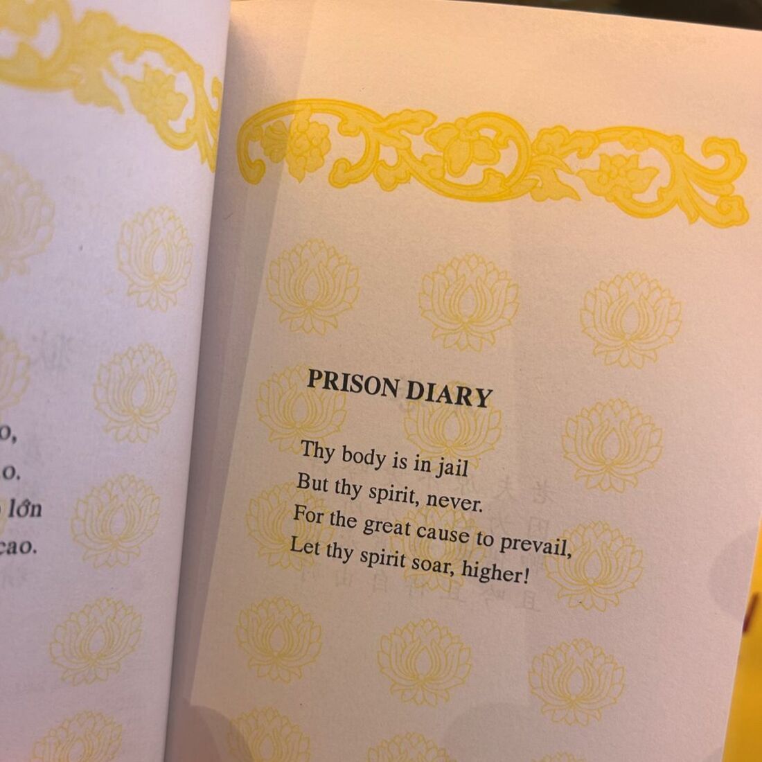 João Mota, Vietname