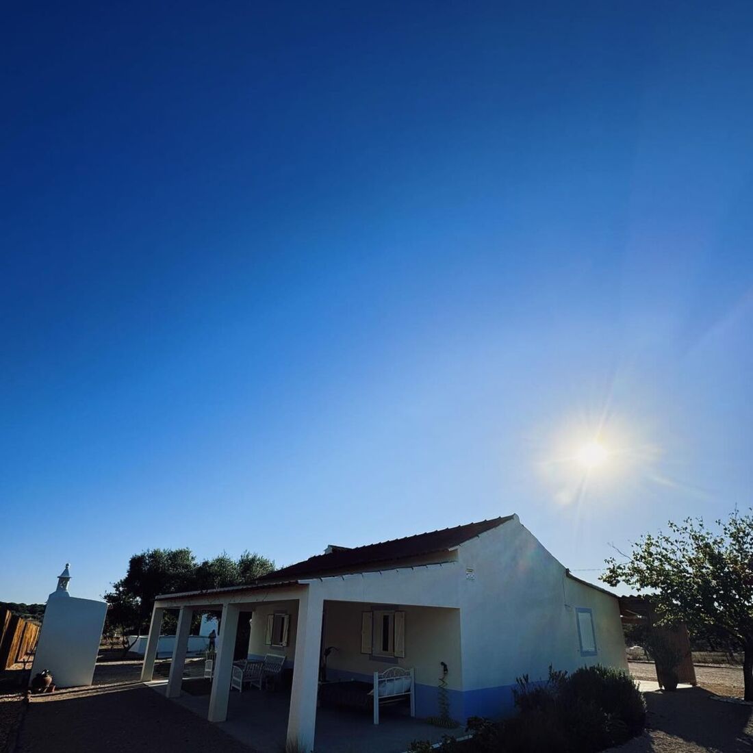 Sara Prata, publicação