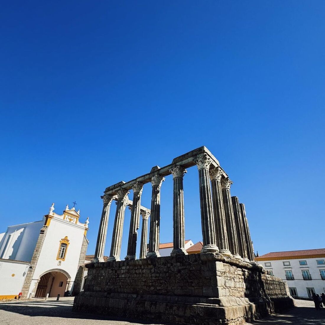 Sara Prata, publicação