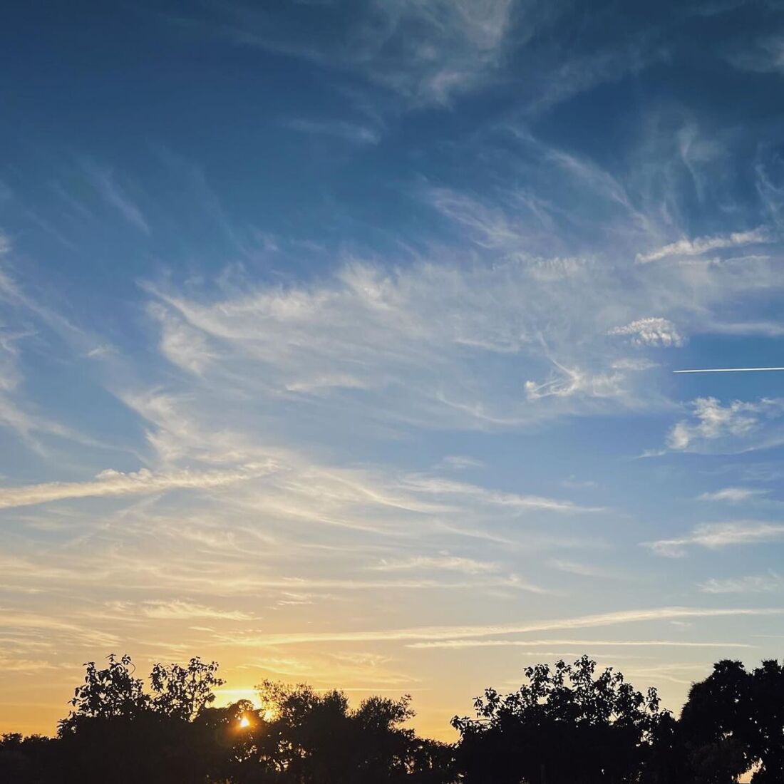 Sara Prata, publicação