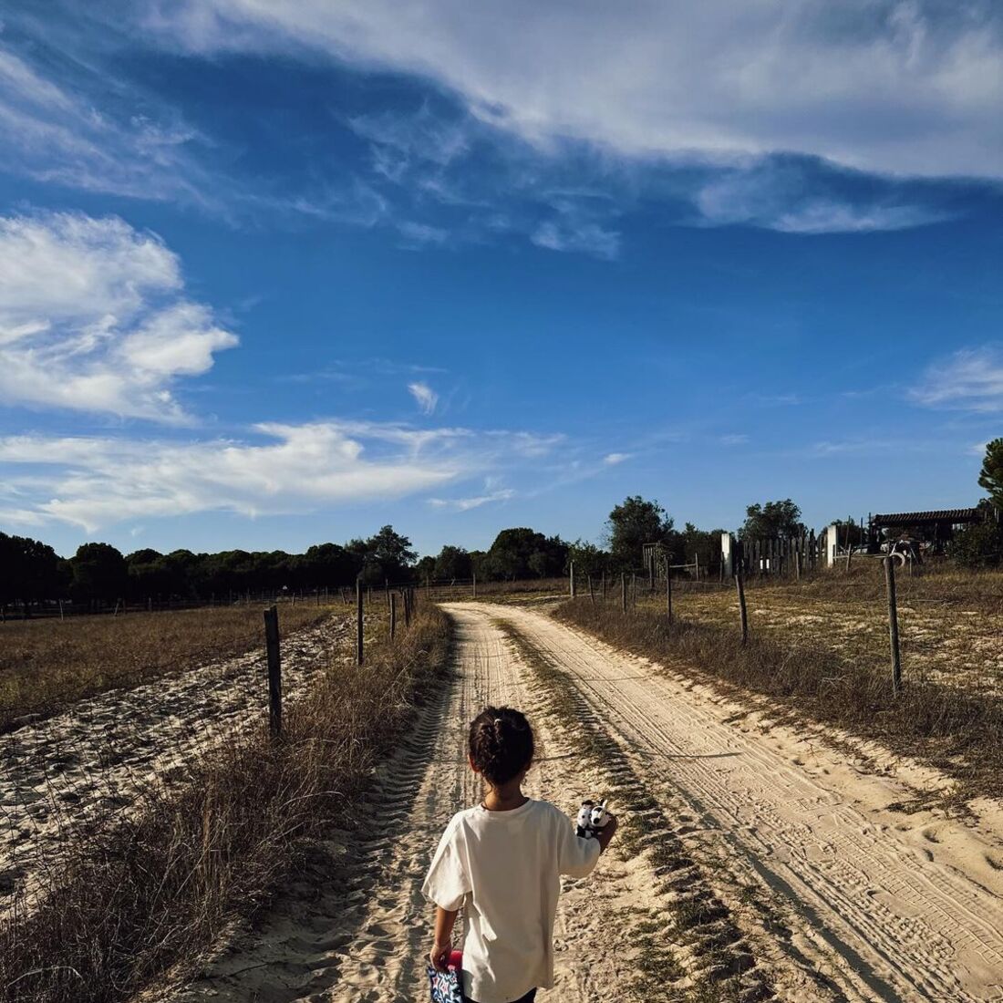 Sara Prata, publicação